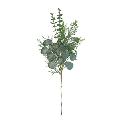 Eucalytus and pine pick 