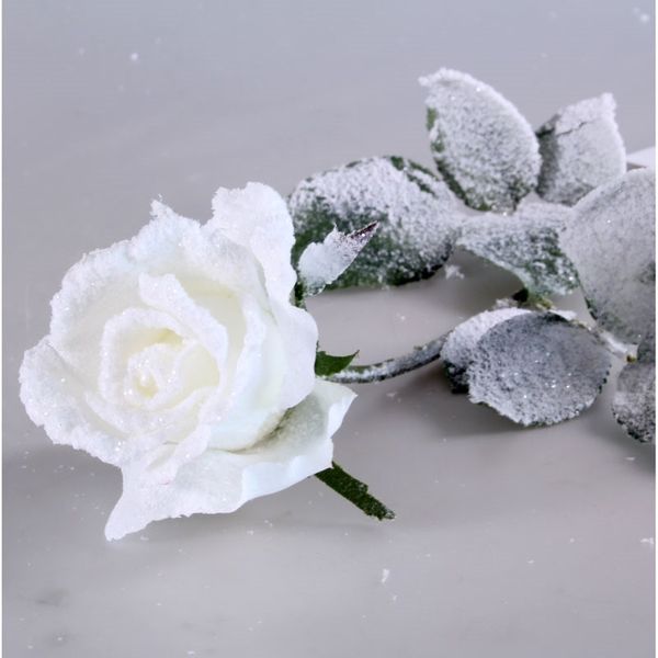 66cm PES Single Alice Rose W/2 sets Lvs White (24/288)