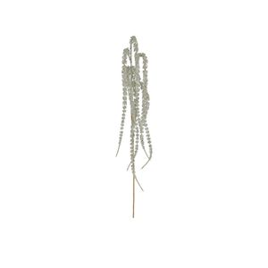 Glitter Amaranthus Spray (Champagne) (24/288)