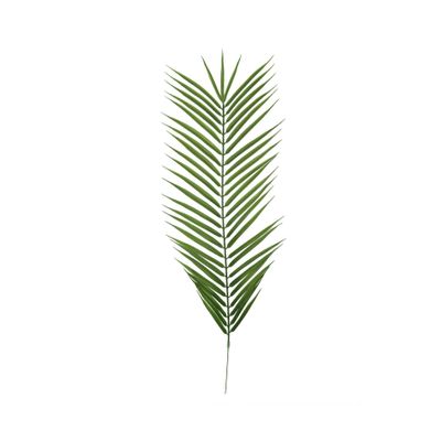 Palm leaf (48/240)