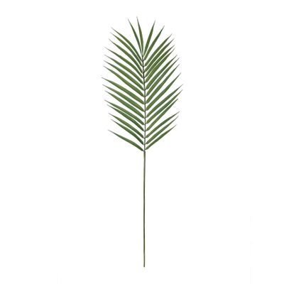 Palm leaf (48/240)