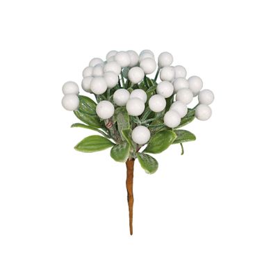 Berry bunch white frosted with leaves 