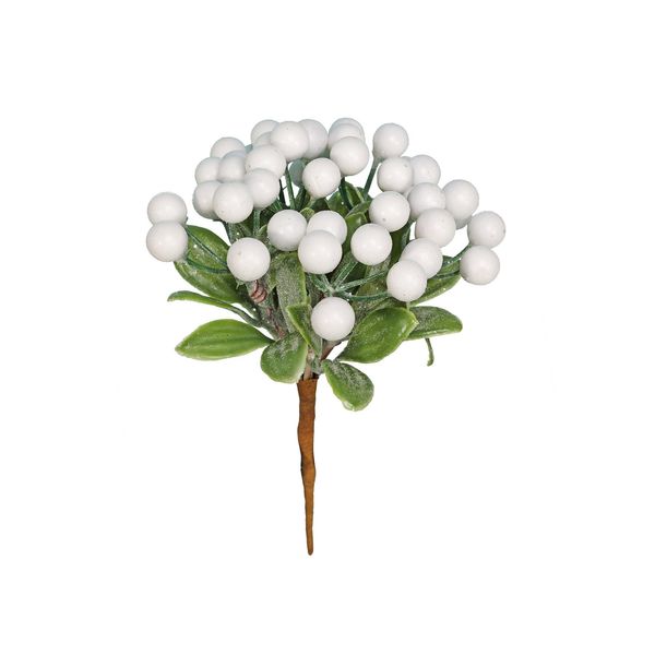 Berry bunch white frosted with leaves 