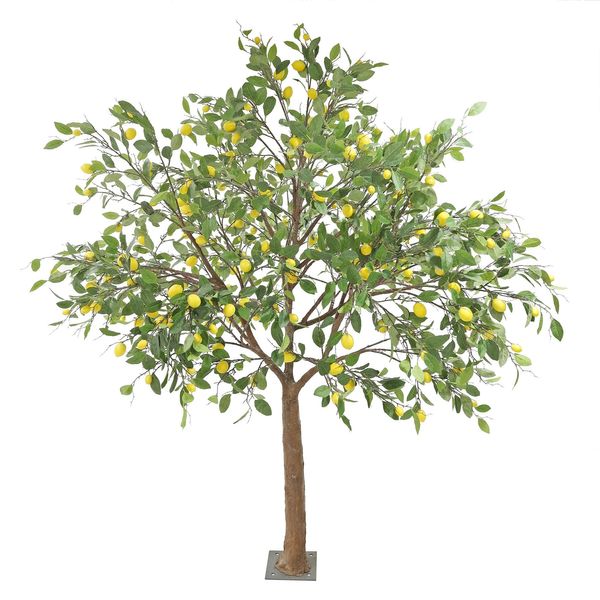 Lemon Tree - Indoor - 30 Branches - H 2.5M