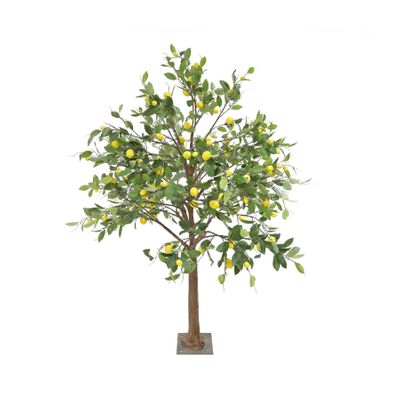 Lemon Tree - Indoor -16 Branches - H 2M