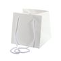 17x17cm White Hand Tie Bag (10/100)