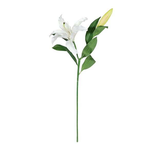 Lily Real Touch White x 2 (12/120)