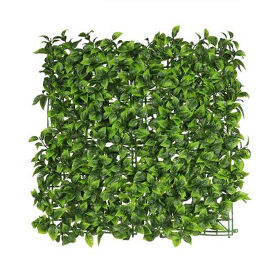 Exterior U.V Bay Leaf Green Wall