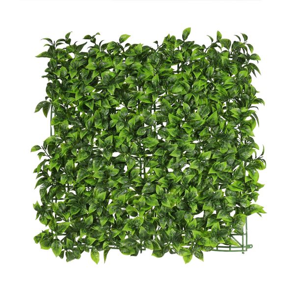 Exterior U.V Bay Leaf Green Wall