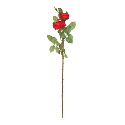 Garden Peony Rose Spray Red (12/120)