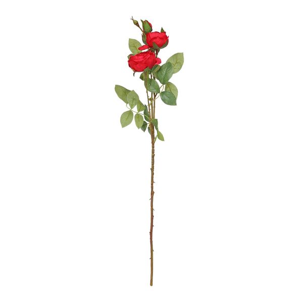 Garden Peony Rose Spray Red (12/120)