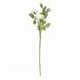 Garden Peony Rose Spray Ivory (12/120)