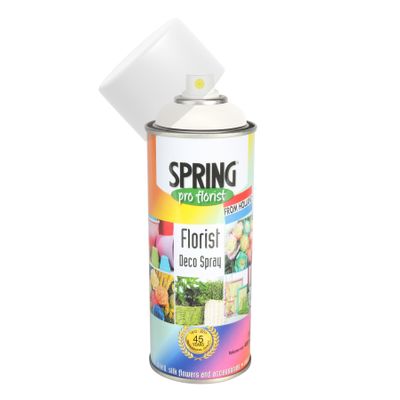 400Ml Pearl Glo Euro-Aerosols(6/12)