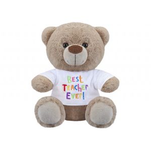 Best Teacher Bear