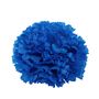 Essential Carnation Pick Royal Blue-Box of 144