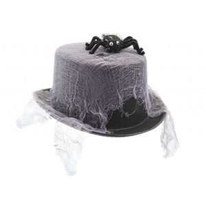 Spider Web Top Hat