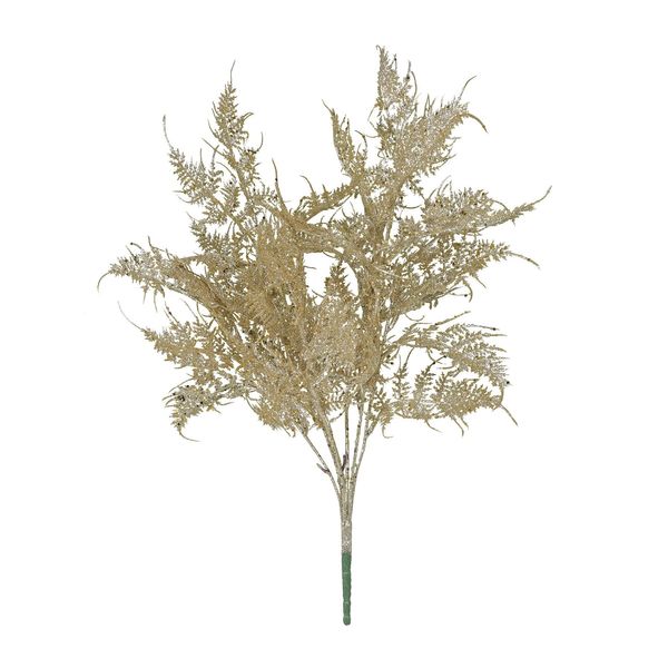 Glitter fern bush Gold