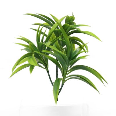 Junglist Yucca Trio - Green - 25cm