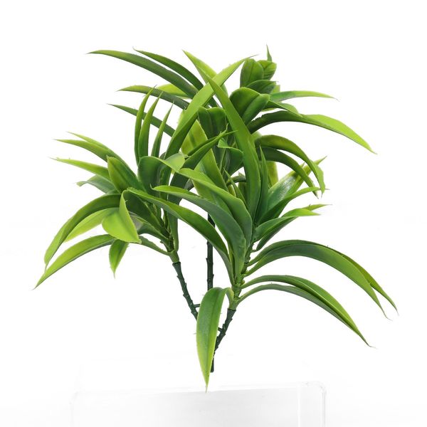 Junglist Yucca Trio - Green - 25cm