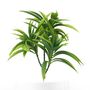 Junglist Yucca Trio - Green - 25cm