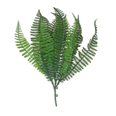 Junglist Shady Fern - Green - 30cm