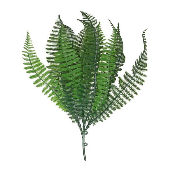 Junglist Shady Fern - Green - 30cm