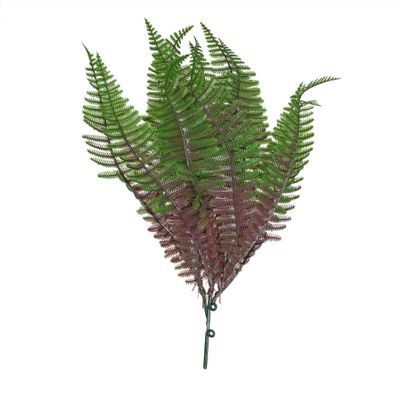 Junglist Shady Fern - Purple - 30cm