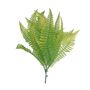 Junglist Shady Fern - Yellow - 30cm