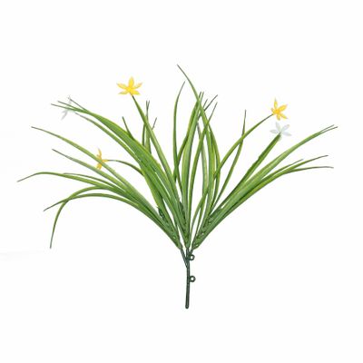 Junglist Firework Bush - 30cm