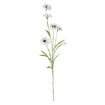 Wild Cornflower Spray - 63cm - White