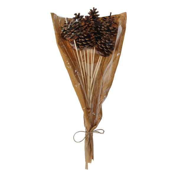 Natural Pine Cone Pick 50cm Stem -12pcs per Sleeve