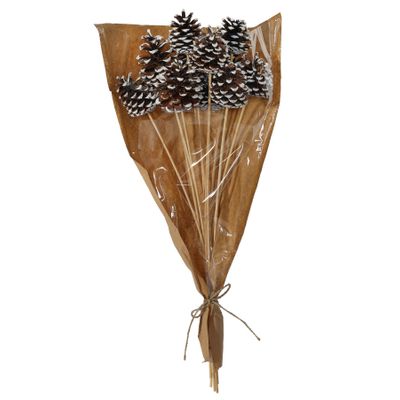 White Tipped Pine Cone Pick 50cm -12pcs per Sleeve