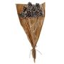 White Tipped Pine Cone Pick 50cm -12pcs per Sleeve