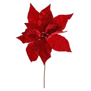 Giant Poinsettia - Red - 50x50cm