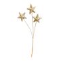 Glitter Star x 3 Spray - Gold