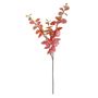 Essential Autumn Eucalyptus Stem - Red/Orange