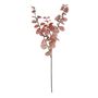 Essential Autumn Eucalyptus Stem - Pink