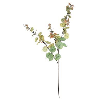 Essential Autumn Eucalyptus Stem - Green/Red