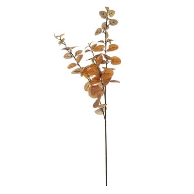 Essential Autumn Eucalyptus Stem - Brown