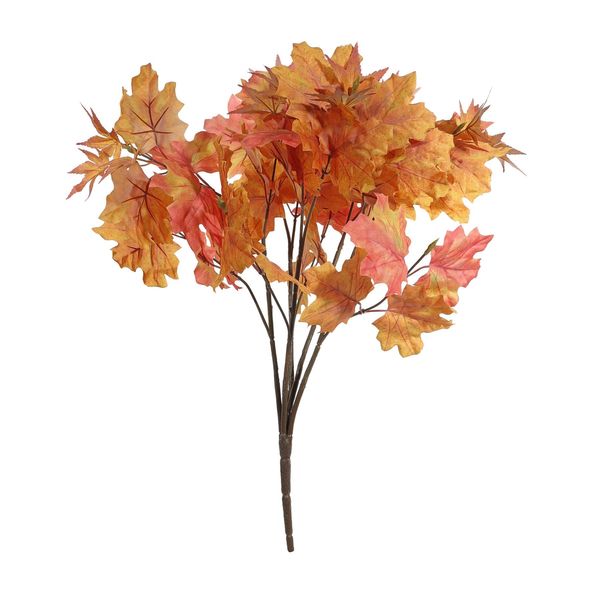 Essential Autumn Maple Bush - Orange