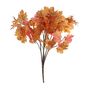 Essential Autumn Maple Bush - Orange