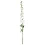 Botanica Giant Delphinium - White - 137cm