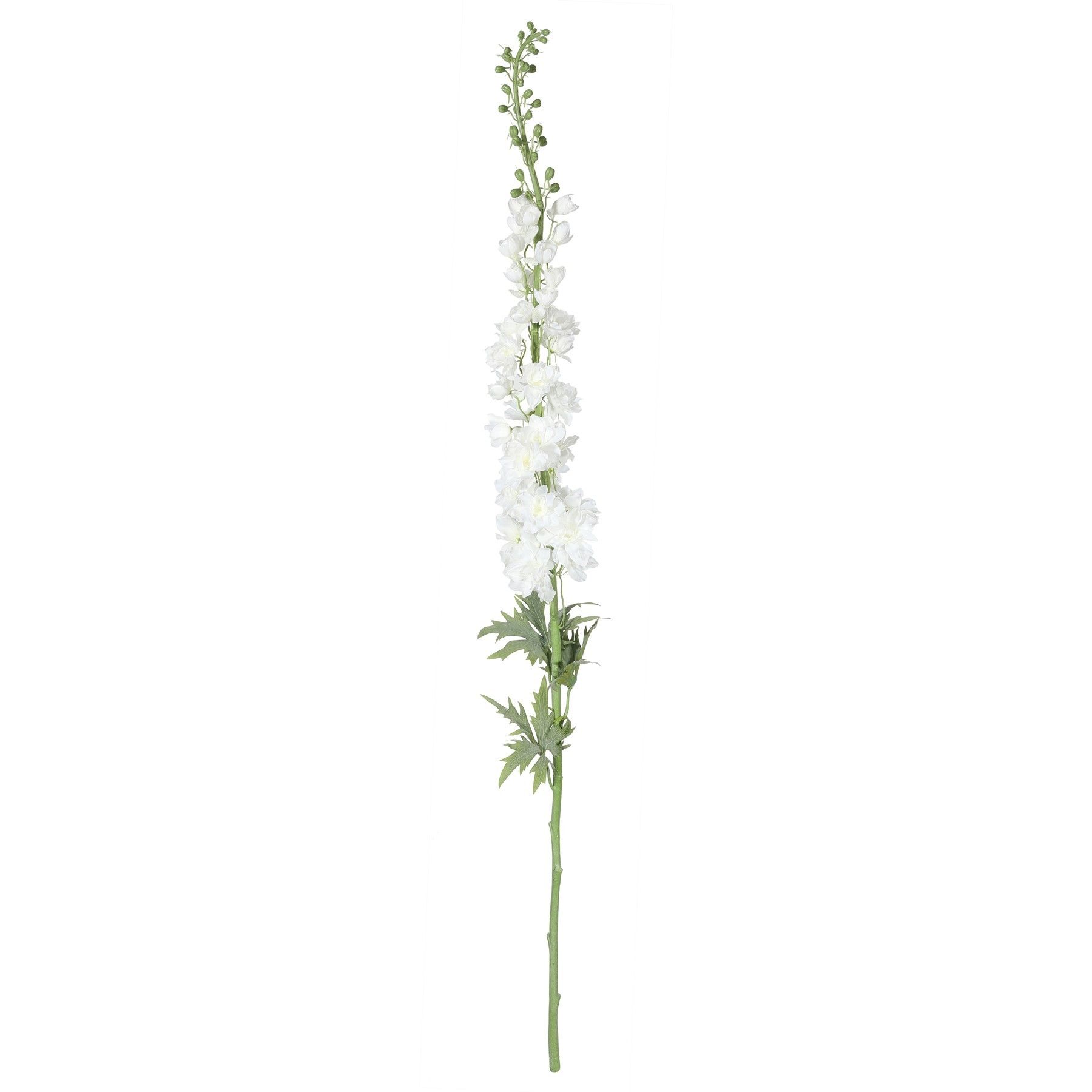 Botanica Giant Delphinium - White - 137cm