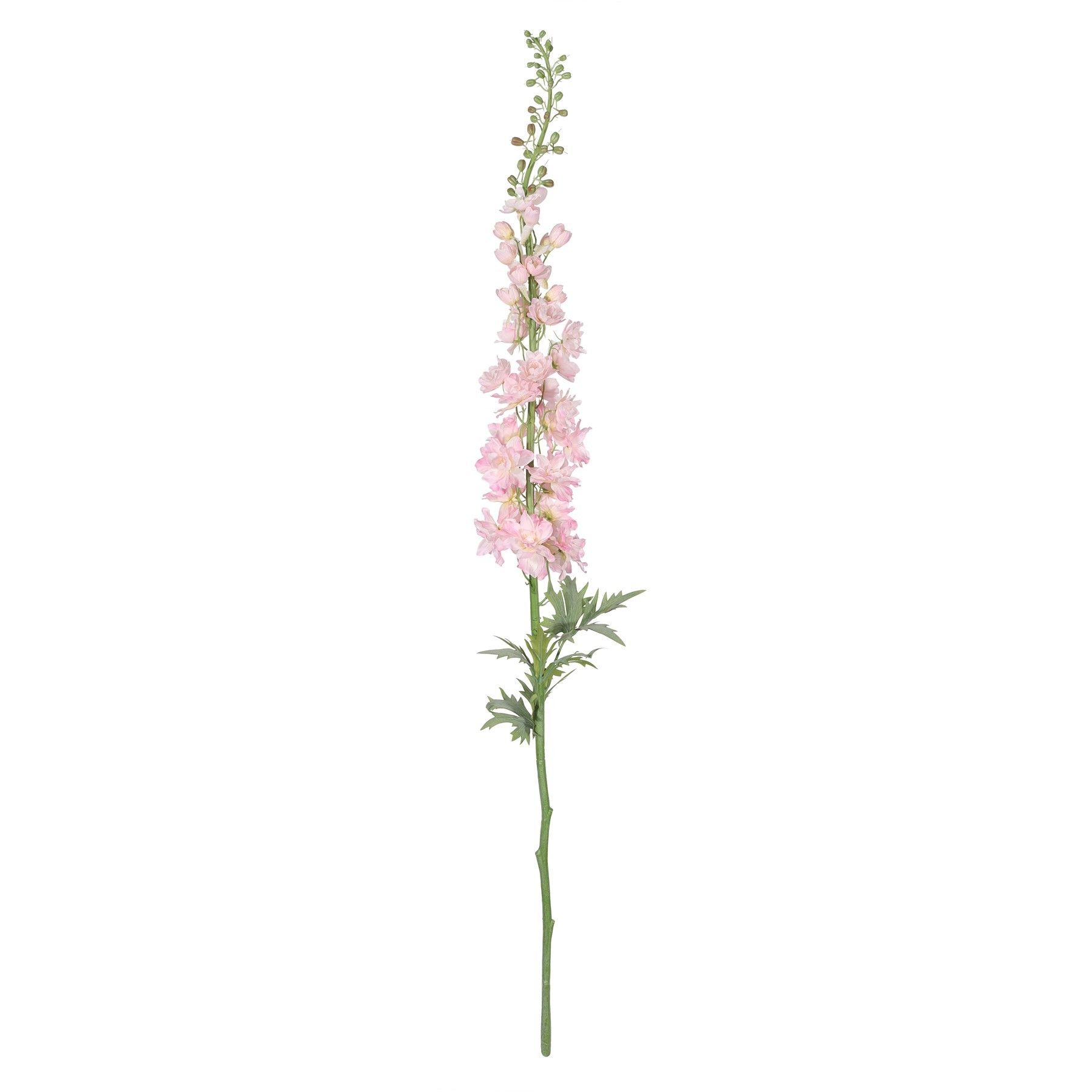 Botanica Giant Delphinium - Pink - 137cm