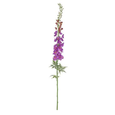 Botanica Giant Delphinium - Violet - 137cm