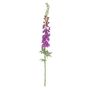 Botanica Giant Delphinium - Violet - 137cm