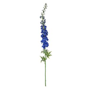 Botanica Giant Delphinium - Dk Blue - 137cm