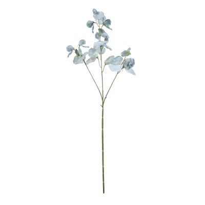 Botanica SweetPea - Blue - 73cm