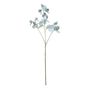 Botanica SweetPea - Blue - 73cm