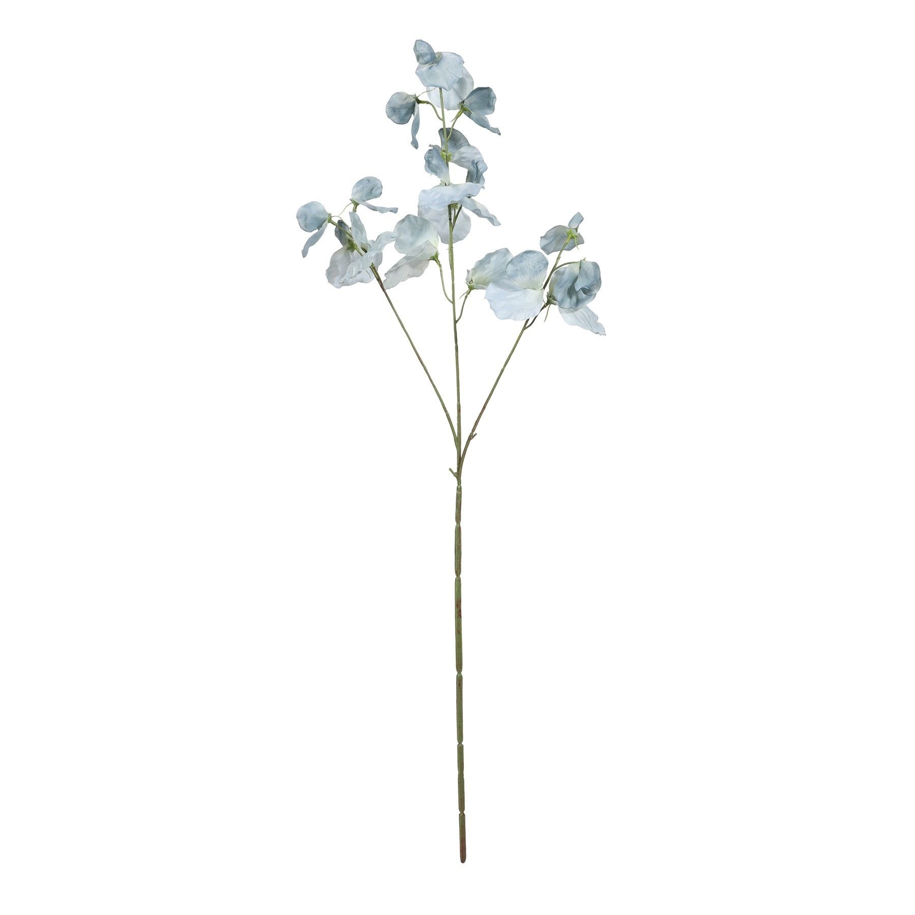 Botanica SweetPea - Blue - 73cm